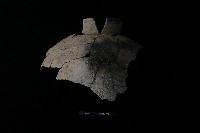 陶罐藏品圖，第2張