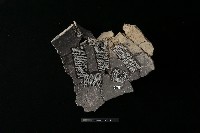 陶罐藏品圖，第3張