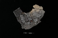 陶罐藏品圖，第1張