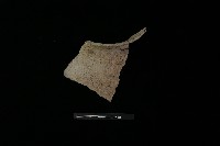 陶罐藏品圖，第1張