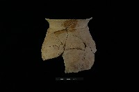 陶罐藏品圖，第1張