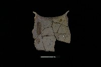 陶罐藏品圖，第2張