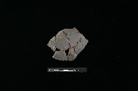 陶片藏品圖，第1張