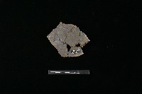 陶片藏品圖，第2張