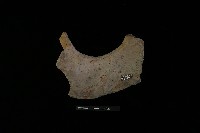 陶罐藏品圖，第3張