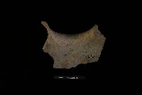 陶罐藏品圖，第4張