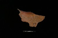 陶罐藏品圖，第3張