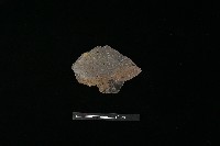 陶片藏品圖，第2張