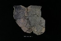 陶罐藏品圖，第2張