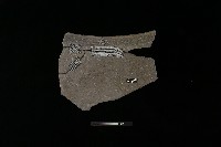 陶缸藏品圖，第2張