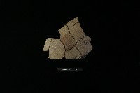 陶片藏品圖，第2張