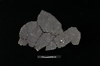 陶片藏品圖，第2張