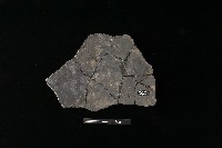 陶片藏品圖，第2張