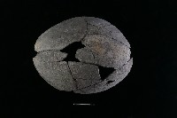 陶片藏品圖，第2張