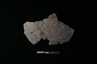 陶片藏品圖，第2張