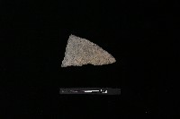 陶片藏品圖，第2張