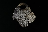 陶罐藏品圖，第2張