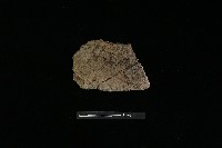 陶片藏品圖，第2張