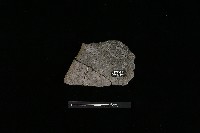 陶片藏品圖，第1張