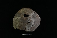 陶罐藏品圖，第1張