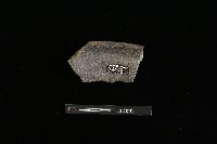 陶罐藏品圖，第1張