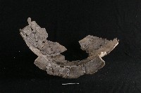 陶罐藏品圖，第3張