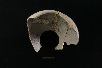 陶罐藏品圖，第3張