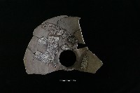 陶罐藏品圖，第1張