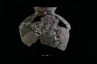 陶罐藏品圖，第2張