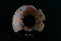 陶罐藏品圖，第2張