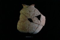 陶罐藏品圖，第2張