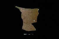 陶罐藏品圖，第2張