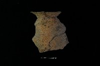 陶罐藏品圖，第2張