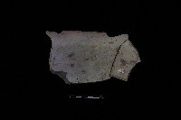 陶罐藏品圖，第1張