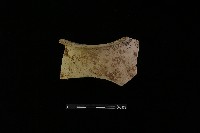 陶罐藏品圖，第2張