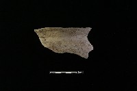 陶罐藏品圖，第2張