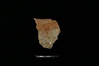 陶罐藏品圖，第2張