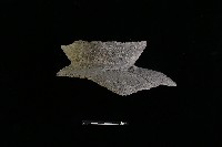 陶罐藏品圖，第2張