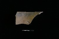 陶罐藏品圖，第2張