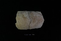 陶片藏品圖，第1張