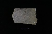 陶片藏品圖，第2張