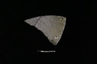 陶片藏品圖，第2張