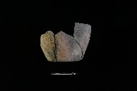 陶片藏品圖，第2張