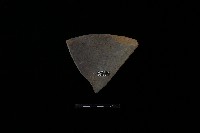 陶盆藏品圖，第2張