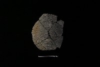 陶甑藏品圖，第1張