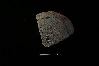 陶蓋藏品圖，第2張