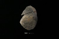 陶片藏品圖，第1張