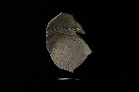 陶片藏品圖，第2張