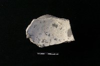 豆形器藏品圖，第1張