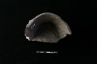 豆形器藏品圖，第2張